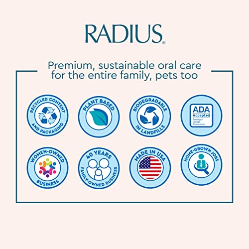 RADIUS Big Brush Toothbrush with Case - BPA Free, ADA Accepted