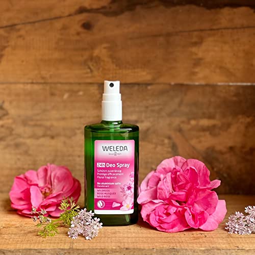 Weleda Wild Rose 24h Deodorant Spray - 3.4 Ounce Natural Formula