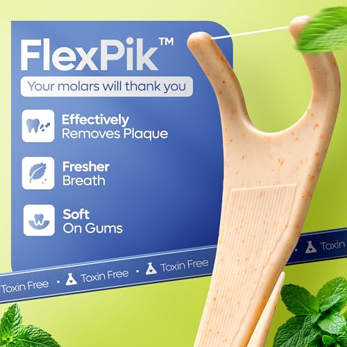 SmartLifeco Eco-Friendly Angled Dental Floss Picks - Mint, 200 Count