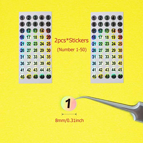 50pcs Nail Swatch Sticks with Ring for Nail Color Display (transparent) – 50 Count Pack by FENKON