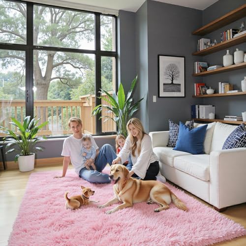 Soft Plush Pink Shag Area Rug, 2x3 Non-Slip Bedroom Carpet