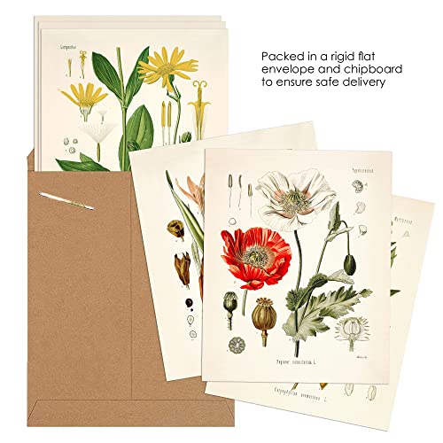 Vintage Botanical Flower Wall Art Set of 6 - 8x10 Inch Prints
