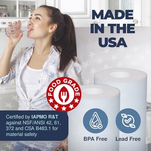 1 Micron Whole House Sediment Filter - Healthy Spring, Pack of 2