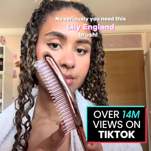 Lily England Rose Gold Detangler Hair Brush for Curly Wet & Dry Hair