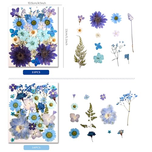 100 PCS Blue Pressed Dried Flowers with Tweezers for DIY Crafts