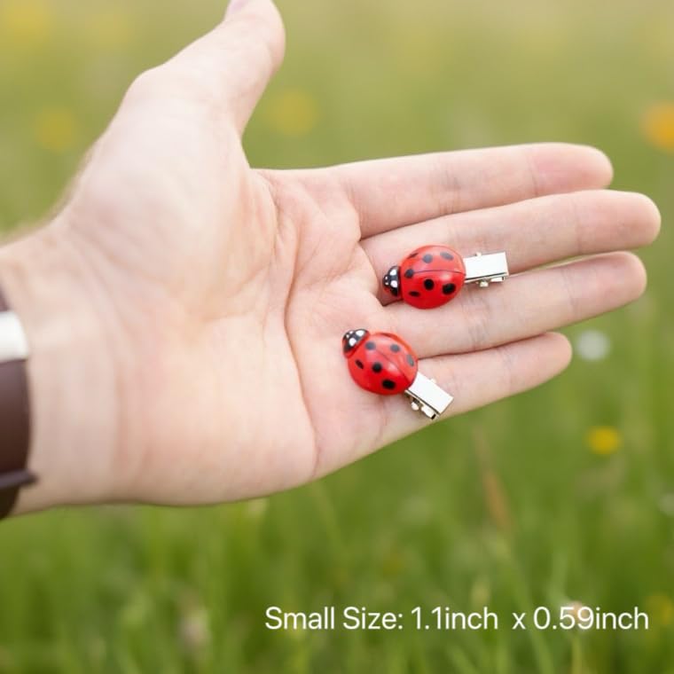 10 Pcs Ladybug Hair Clips Set for Teens & Women - Cute Decorative Accessories