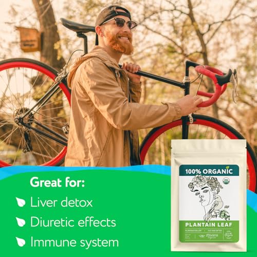 Organic Plantain Leaf Tea 4oz - Herbal Digestive & Detox Support