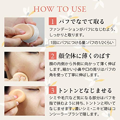 メイコー化粧品 Naturactor Cover Foundation Spotscover 20g (151) - Flawless Skin Concealer