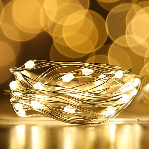 LIIDA LED Fairy String Lights - 12-Pack Mini Lights on Copper Wire