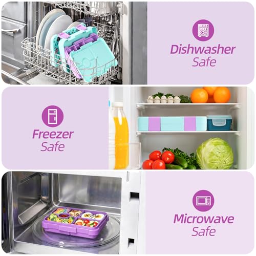 Bento Lunch Box with 5/6 Compartments, BPA Free & Dishwasher Safe