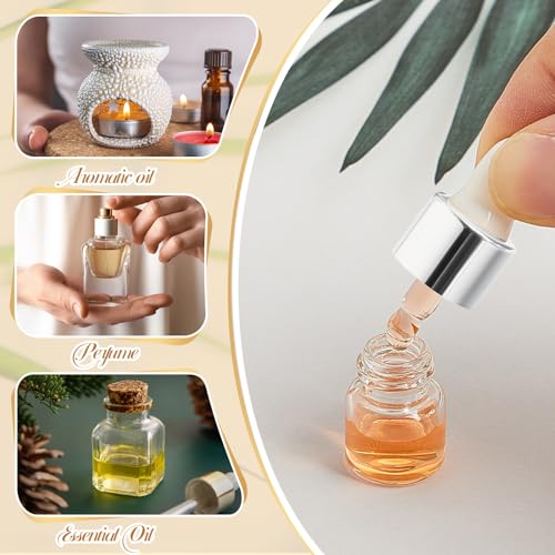 Didaey 4 Pcs 1ml Silver Glass Oil Dropper Bottles - Mini Sample Containers