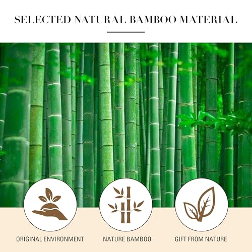 GAVIVOL Bamboo Paddle Hair Brush with Steel Bristles for All Hair Types