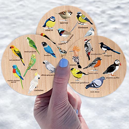 Bird-Themed Bamboo Wood Coasters Set of 6 with Holder