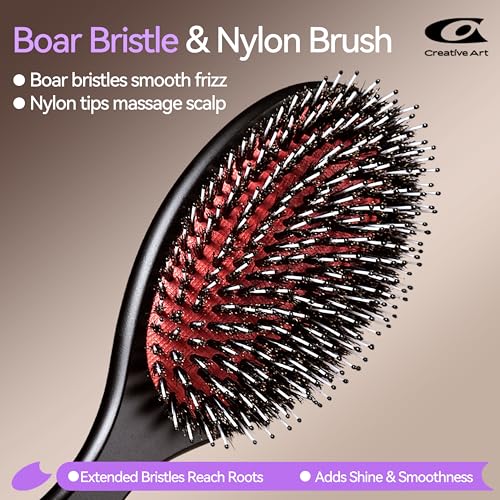 Boar Bristle Hair Brush - Black Natural Wood, Dual-Bristle for Smoothing & Shine