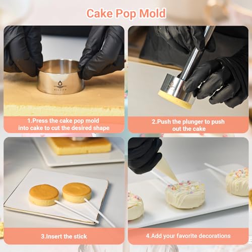 Hilsita 2-Inch Cake Pop Mold Kit with Cutter, Stand & 100 Sticks