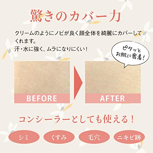 メイコー化粧品 Naturactor Cover Foundation Spotscover 20g (151) - Flawless Skin Concealer