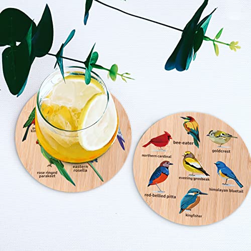 Bird-Themed Bamboo Wood Coasters Set of 6 with Holder