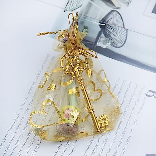 20Pcs Vintage Skeleton Key Charms for Jewelry Making - Antique Metal Pendants