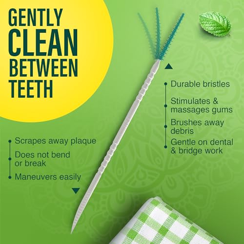 GuruNanda 2-in-1 QuickPik Toothpick & Interdental Pick, 300 Ct