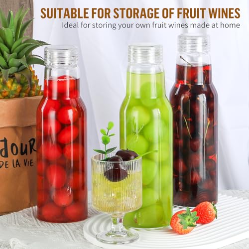 25 Oz Borosilicate Glass Bottles with Lids - Leakproof & BPA Free