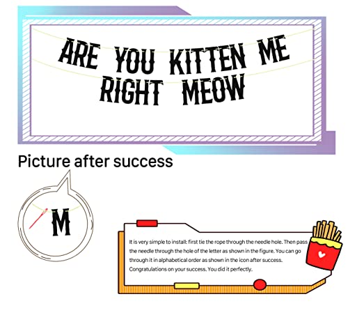 Are You Kitten Me Right Meow Banner - Black Glitter Cat Birthday Decor