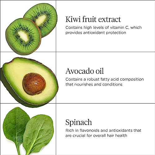 Briogeo Superfoods Avocado + Kiwi Mega Moisture Hair Mask 2 Fl Oz