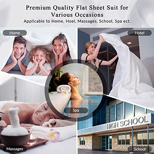 Royale Linens Queen Flat Sheet - Ultra Soft Microfiber, Aqua
