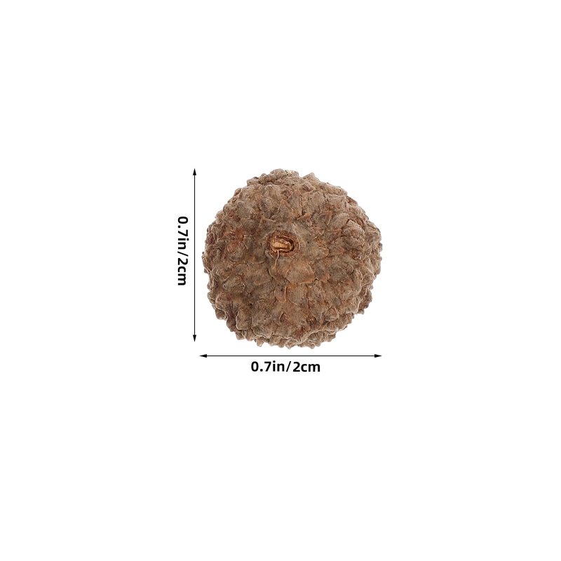Ciieeo Crafts Vases Natural Acorns Bulk Real Rustic Acorns Caps for Craft Christmas Thanksgiving Pine Cone Ornament Winter Xmas Tree Wreath Vase Filler Decoration 100PCS Ornament Bulk
