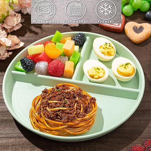 LRUUIDDE 9-Inch Portion Control Plate Set - 5 Pack, BPA Free, Unbreakable Divided Design for Balanced Eating