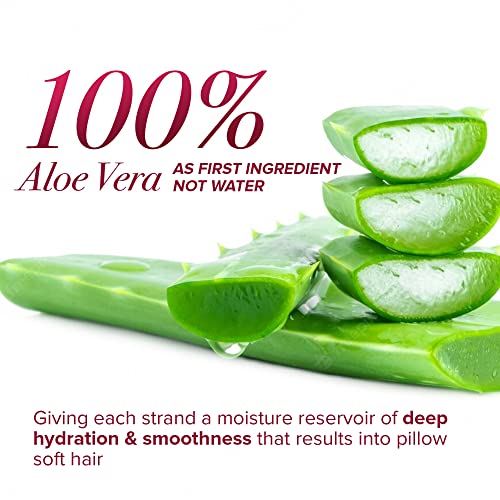 éN Love Knot Ever Moisture Detangler for Curly & Coily Hair 12oz | Deep Hydrating Pre-Shampoo with Aloe & Coconut Milk