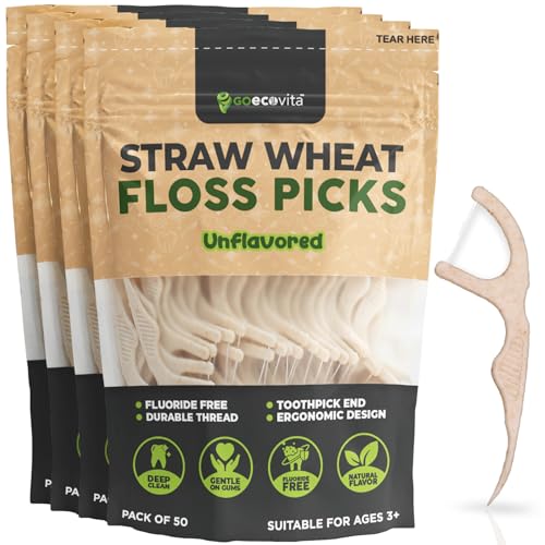 GoEcoVita Plant-Based Dental Floss Picks, Unflavored (200 Pack)