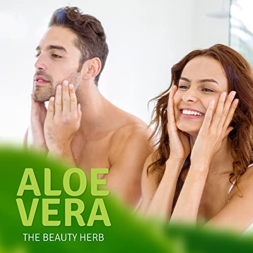 Aloe Life SG Aloe Mist Gel - Topical Skin & Hair Conditioner, 4 oz