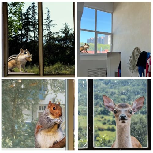 3 PCS Woodland Animal Window Stickers - Squirrels, Deer & Hamsters
