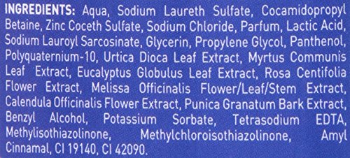 L'Angelica Officinalis Regulating Shampoo for Greasy Hair with Nettle & Myrtle