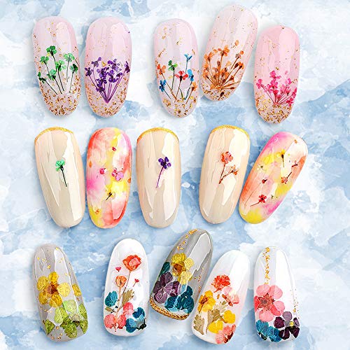 KISSBUTY Dried Flower Nail Art Kit – 2 Boxes, 24 Colors Mini Real Flowers & Leaves