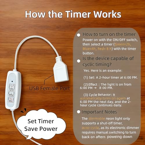 Portable USB Battery Box for Neon Signs with Timer & Dimming