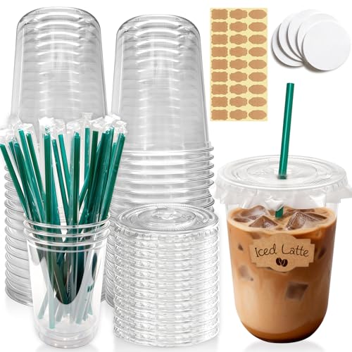 16 oz Clear Plastic Cups with Lids & Straws - 25 Sets for Cold Drinks