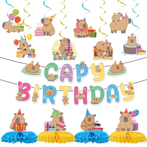 Capybara Birthday Party Decorations - 14PCS Banners & Centerpieces