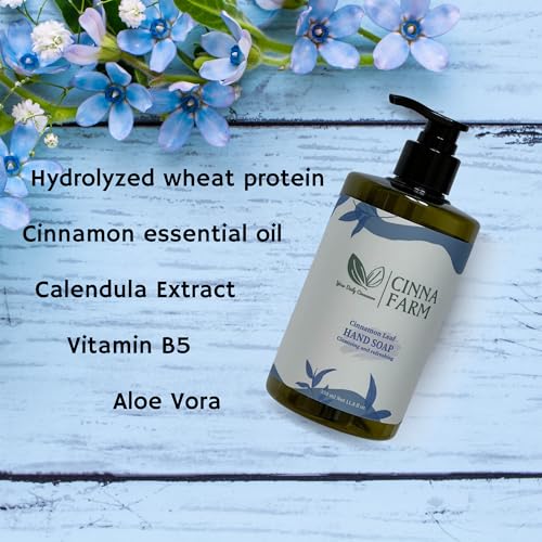 Cinnamon Hand Soap 2-Pack – Natural Cleansing with Vitamin B5, Refreshing & Gentle