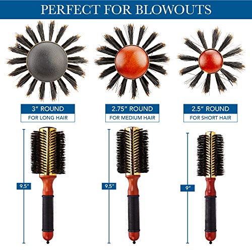 Cantor 2.5 Inch - 12 Row Round Blow Dry Brush with Boar Bristles & Metal Barrel for Short to Medium Hair