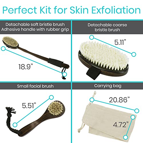 Vive Dry Brush Set for Lymphatic Drainage - 3 Natural Bristle Brushes