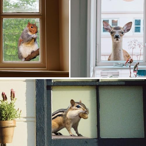 3 PCS Woodland Animal Window Stickers - Squirrels, Deer & Hamsters