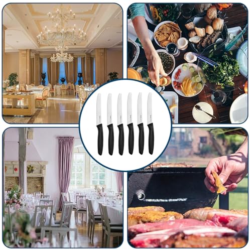 6-Piece Serrated Steak Knife Set with Ergonomic Handles