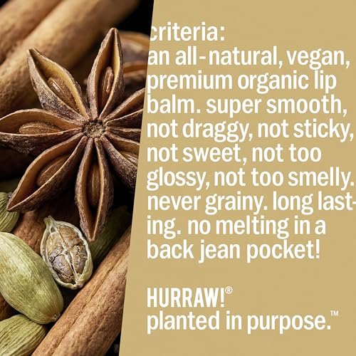 Hurraw! Organic Chai Spice Lip Balm 3-Pack Vegan Natural Moisturizer
