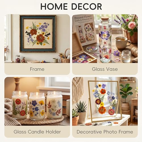 LUXEEASE Vintage Pastel Dried Pressed Flowers for Crafts