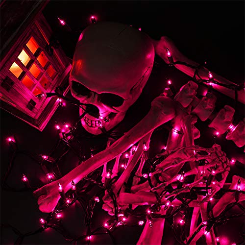 Brizled 100 Count Purple Halloween String Lights, 21.3ft