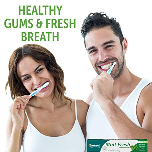 Himalaya Mint Fresh Gel Toothpaste - Fluoride-Free, 6.17 oz (2 Pack)