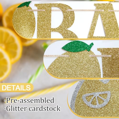 Lemonade Bar Banner – Summer Party Decor, Ready to Hang