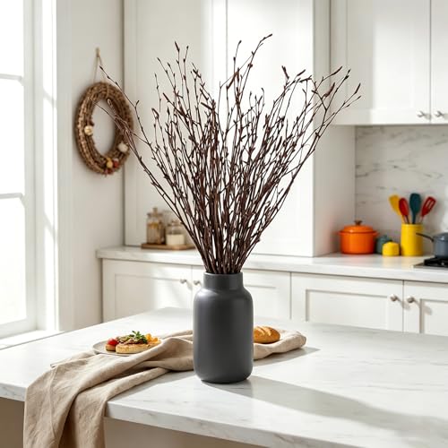 30 Natural Birch Branches - 17" Dried Twigs for Vases & Decor