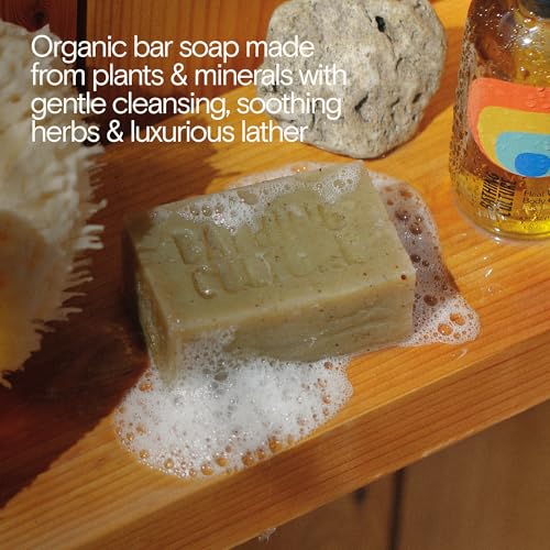 Bathing Culture Organic Exfoliating Soap Bar with Chlorella & Aloe, 4.58 oz